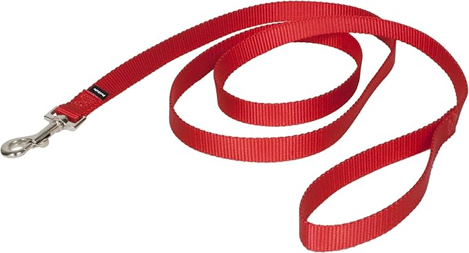PetSafe Nylon Dog Leash Strong, Durable, Traditional Style Lead with Easy to Use Bolt Snap for Small, Medium and Large Dogs 3/4" x 6', Red