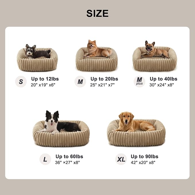 FURTIME Dog Bed for Small Medium Dog, Washable Orthopedic Pet Bed with Removable Cover, Rectangle Soft Calming Sleeping Puppy Bed Durable Pet Cuddler with Anti-Slip Bottom, Beige, M (25"x21"x7")