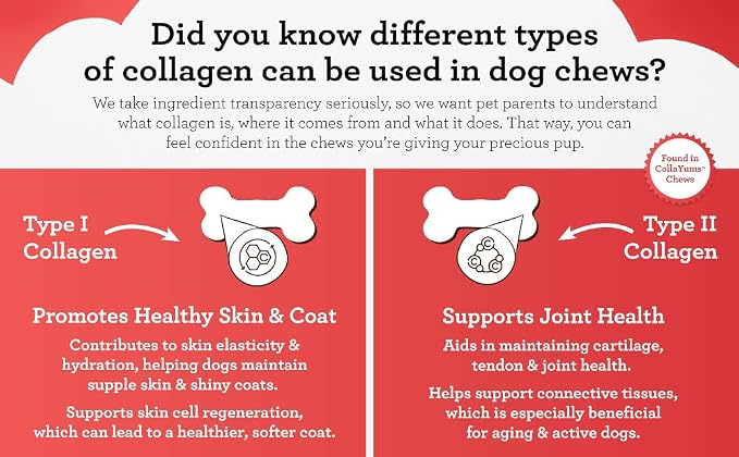 DreamBone CollaYUMS Twists Plus Collagen Chews for Dogs, 10 Count, Treat Your Dog to Rawhide-Free Chews Made with Chicken, Vegetables and Peanut Butter