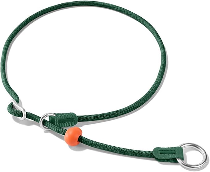 HowGo Slip Collar for Dogs,No Pull Adjustable Martingale Collar for Training, Nylon Rope,Dual Stopper and Durable Aluminum Hardware,Spring-Loaded,for Small Medium Large Dogs(Green)