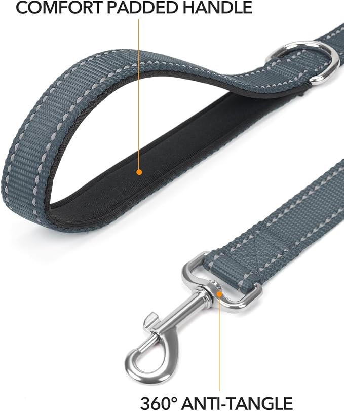 Taglory Dog Leash for Medium Large Dogs, Double-Sided Reflective for Night Walking, Neoprene Padded Handle, 1 inch by 4 ft, Heavy Duty for Medium Large Breeds 20-150 lbs, Grey