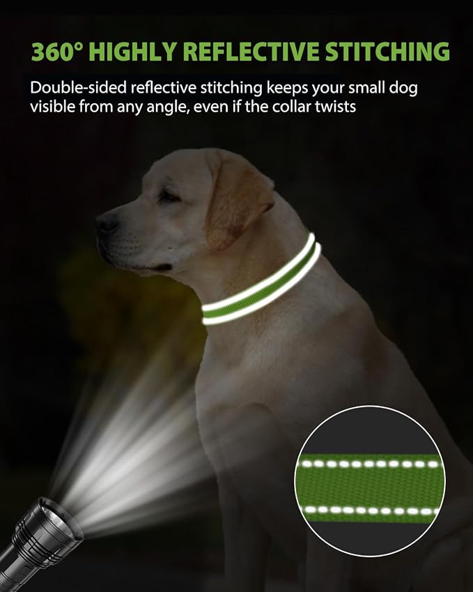 Joytale Dog Collars for Medium Dogs, Comfortable Double-Sided Reflective Nylon Collar for Night Safety, Adjustable Quick-Release for Active Pets, Green, M (1" Width)