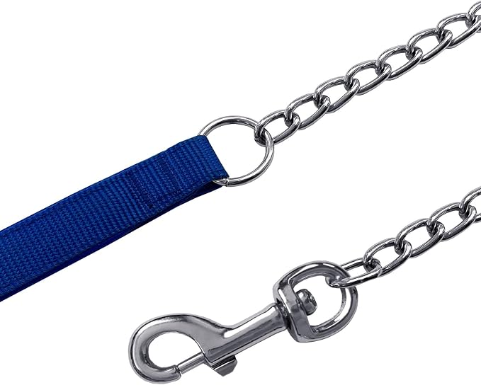 Chain Dog Leash with Padded Handle, Durable Chew Proof for Medium and Large Dogs (4 ft x 3.0 mm)