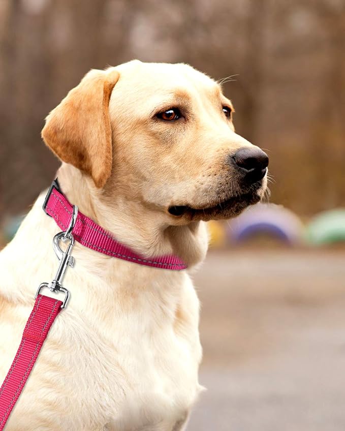 FunTags Length 16" - 24" Reflective Neon Pink Dog Collar for Large Dogs – Night Walking & Training Safety, Durable Quick Release Buckle, Nylon, Comfortable Adjustable, Width 1"