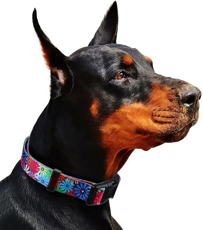 Dog Collar with Sunflowers Daisy Medium