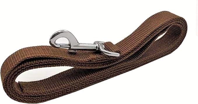 TAIAN 4FT/5FT/6FT Strong Dog Leash, Nylon Dog Leashes for Small Medium Large Dogs (1 in x 4 ft, Brown)