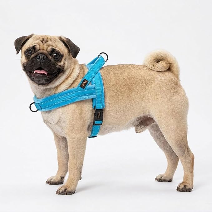 Didog Soft Flannel Padded Dog Vest Harness, No Pull/Quick Fit Reflective Dog Strap Harness, Easy for Training Walking (S:Chest 18-22", Blue)
