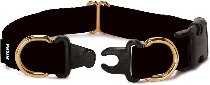 PetSafe KeepSafe Break-Away Collar 1 in Wide, Large, Black Prevent Collar Accidents for Your Dog or Puppy Improve Safety, Compatible with Leash Use, Adjustable Sizes