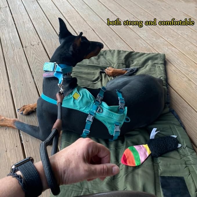 BTINESFUL 18 Inch Short Dog Leash,1/2" Thick Nylon Rope Traffic Dog Leash