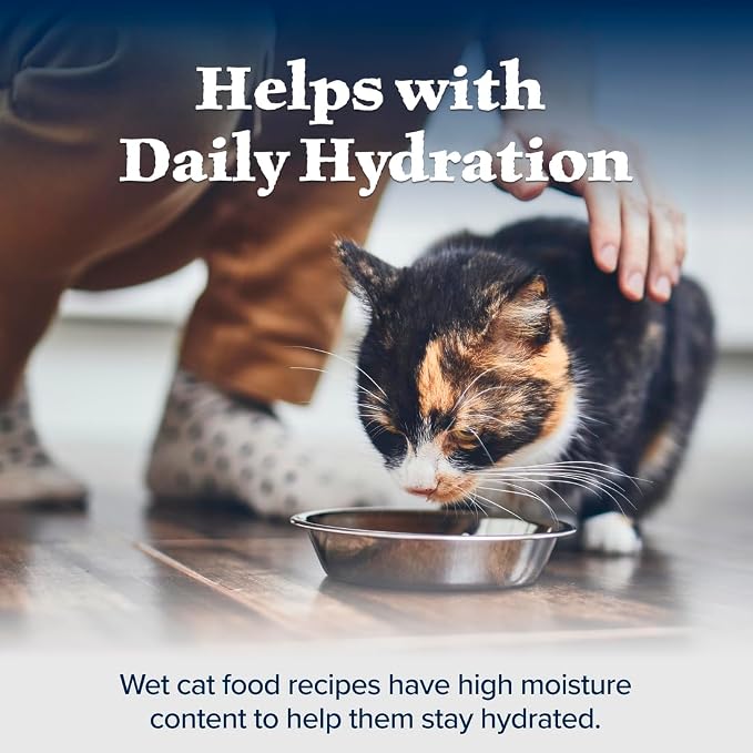 Blue Buffalo Wilderness Adult Cat 7+ Grain Free Chicken Paté Wet Cat Food, Supports Energy for an Active Life, Made with Natural Ingredients, 5.5-oz. Cans (24 Count)