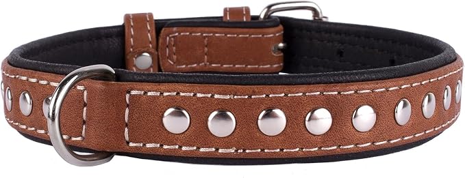 CollarDirect Studded Dog Collar Leather Pet Collars for Dogs Small Medium Large Puppy Soft Padded Brown Black (Black, Neck fit 20" - 22")
