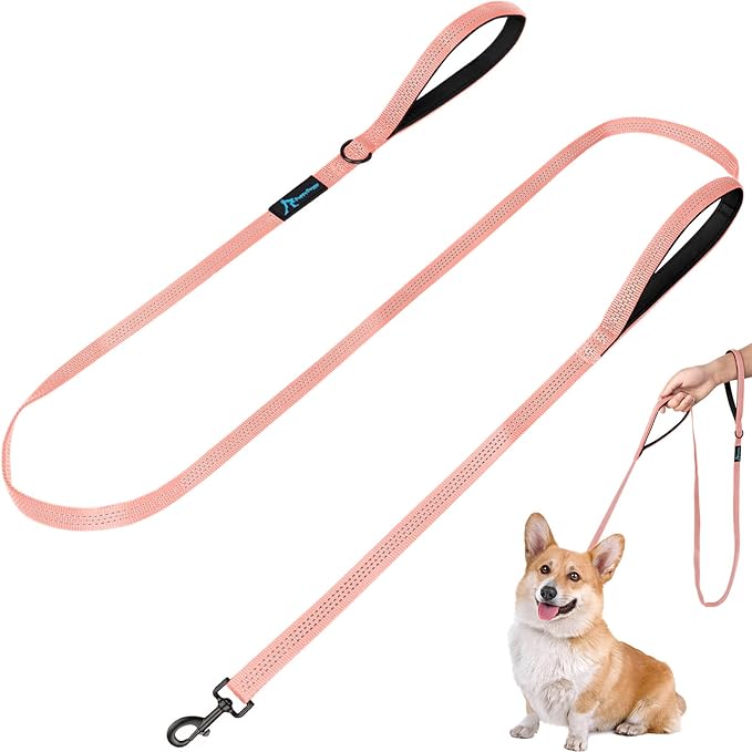 Dog Leash for Small to Medium Dogs 6 ft x 0.6" with 3 Reflective Stitching and 2 Traffic Padded Handles Dog Lead/Rope, Pet Leash for Running Walking Training (Pink 1 Pack - 6 ft x 0.6 in)