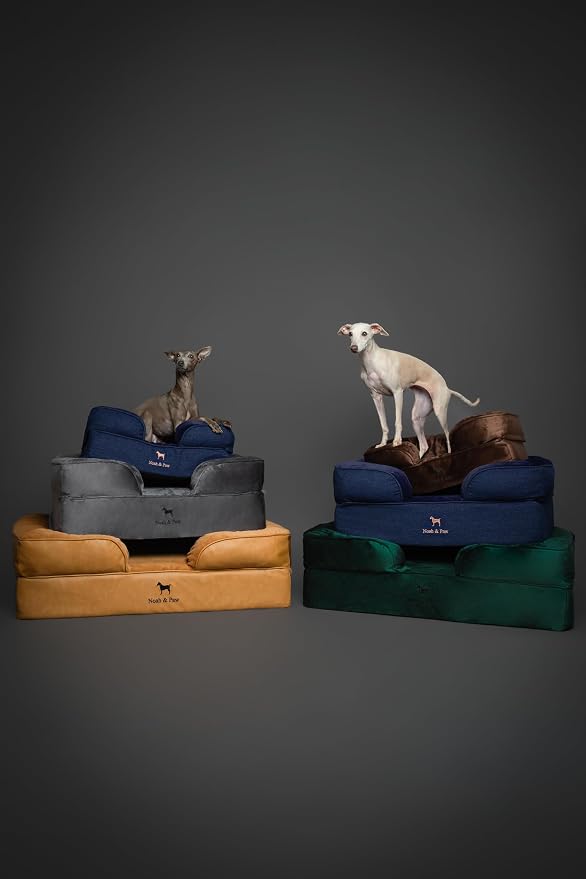 NOAH & PAW Dog Bed, 28x23x11 Inch, Orthopedic Dog Beds for Medium Size Pets, Eggshell Memory Foam Infused with Cooling Gel, Inner Cover, Water Resistant, Machine Washable (Velvet Sofa Collection)