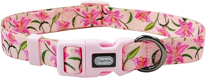 Dog Collar Leash Set, Floral Pattern, Polyester Material, Adjustable Collar and 5ft Matchcing Leash, for Puppy Dogs.(XS, Pink Lily)