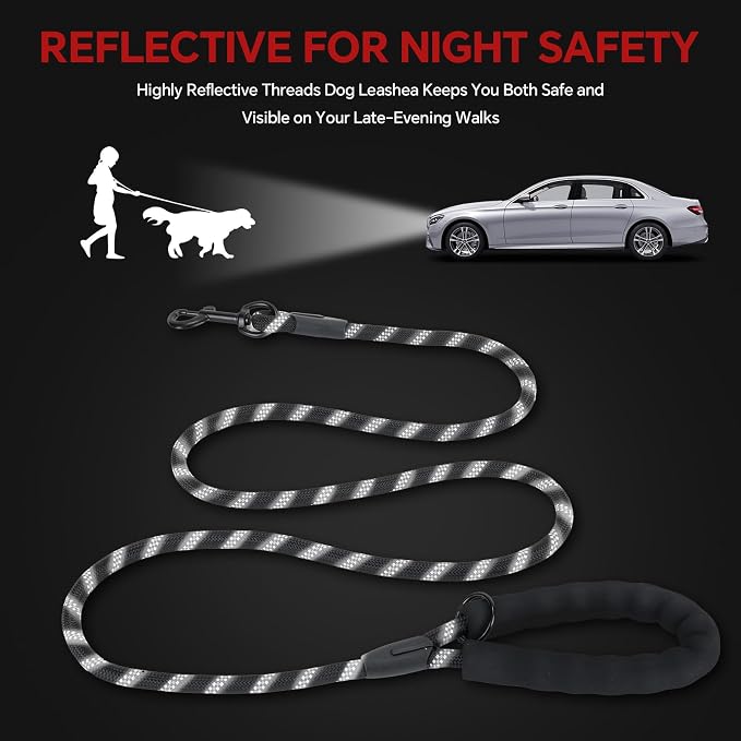 Heavy Duty Dog Leash, 4.9 FT for Large and Small Dogs, Strong Nylon, Comfortable Handle, Reflective Stitching - Ideal for Walking, Training, and Outdoor Activities, Black