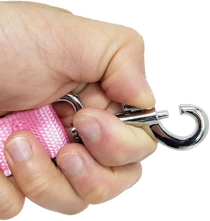 Nylon Dog Training Leash, Traction Rope, 4Ft /5 Foot /6 Feet Long, 5/8 inch 3/4 Inch 1 Inch Wide, for Small and Medium Dogs (1'' x 8 FT, Pink)