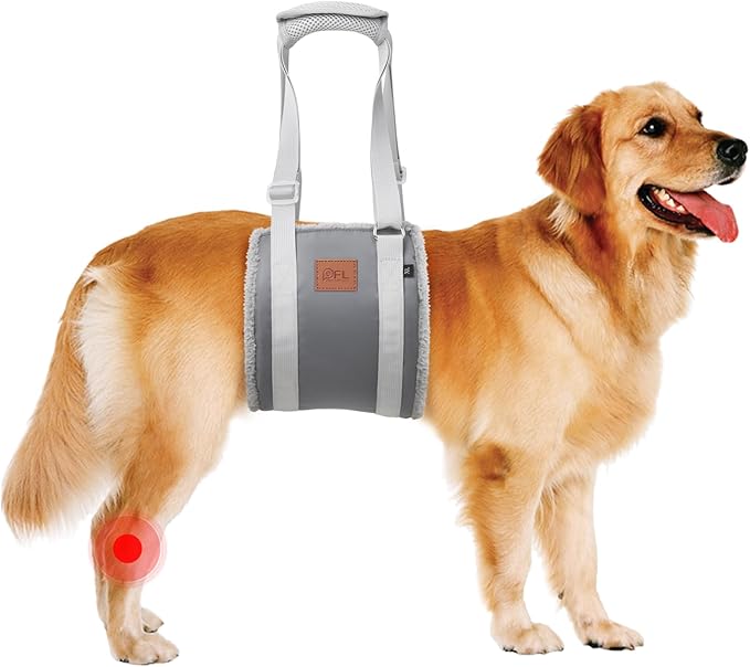 Adjustable Dog Lift Harness Dog Sling for Large Dogs Hind Leg Support Soft Lift Support for Weak Rear Legs, Helps Senior, Injured, Disabled, After ACL Surgery Dogs (Grey&Grey, X-Large)