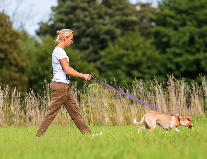 Taglory Dog Leash for Medium Large Dogs, Double-Sided Reflective for Night Walking, Neoprene Padded Handle, 1 inch by 5 ft, Heavy Duty for Medium Large Breeds 20-150 lbs, Purple