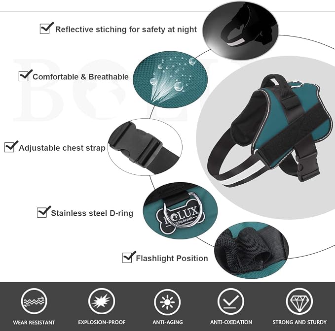 Dog Harness, No-Pull Reflective Dog Vest, Breathable Adjustable Pet Harness with Handle for Outdoor Walking - No More Pulling, Tugging or Choking (Turquoise, L)