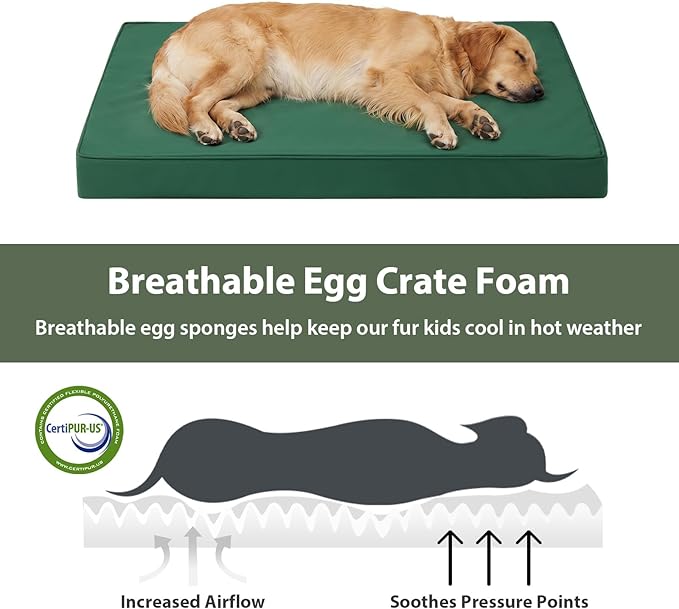 WNPETHOME Outdoor Dog Bed Waterproof, Large Outdoor Dog Bed for Large Sized Dog, Outdoor Indoor Dog Bed with Removable Washable Cover, Egg Crate Foam Dog Crate Mat, Durable Waterproof Dog Bed, Green