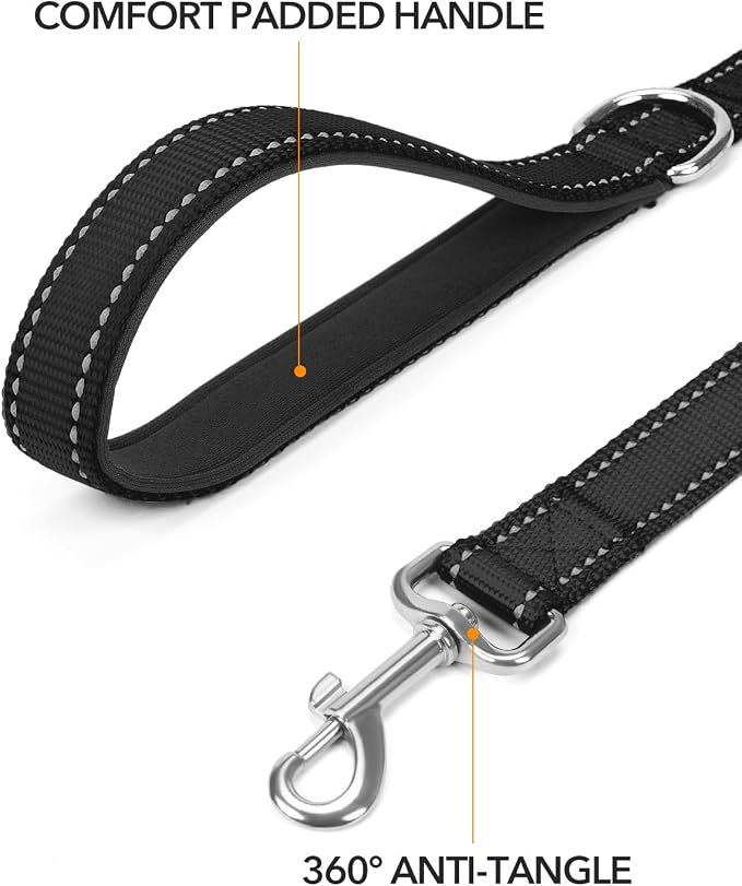 Taglory Dog Leash for Small Dogs, Double-Sided Reflective for Night Walking, Neoprene Padded Handle, 3/4 inch by 5 ft, Lightweight for Small Medium Breeds up to 30 lbs, Black