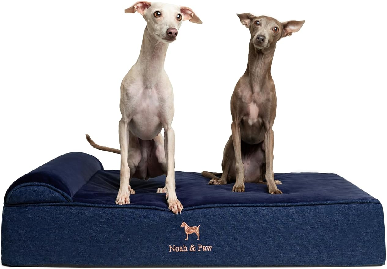 NOAH & PAW Large Dog Bed, 35x25x8.7 Inch, Orthopedic Dog Beds, Eggshell Memory Foam Infused with Cooling Gel, Water Resistant, Machine Washable, Includes Inner Cover (Denim Collection)