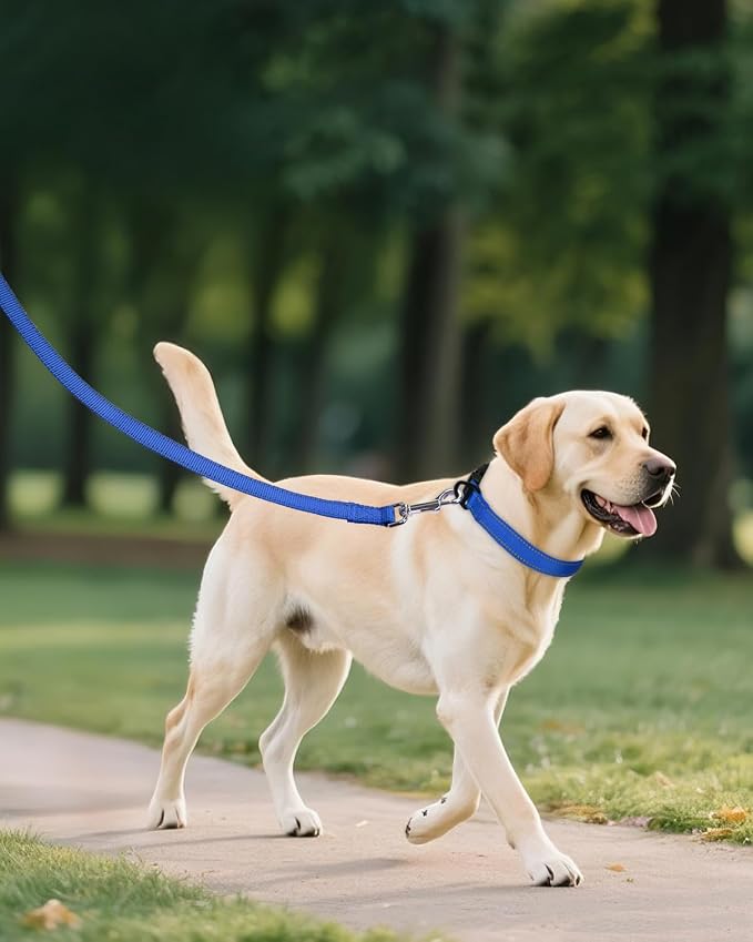 Joytale Extra Large Dog Collar, Wide Double-Sided Reflective Nylon Collar for Night Safety, Adjustable Quick-Release for Gentle Giants, Navy Blue, XL (1 1/4" Width)