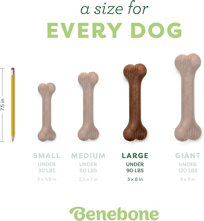 Benebone Bone Durable Dog Chew Toy for Aggressive Chewers, Real Bacon, Made in USA, Large