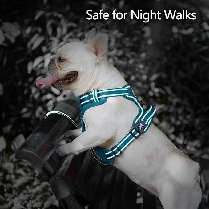 PoyPet No Pull Dog Harness, No Choke Reflective Dog Vest, Adjustable Pet Harnesses with Easy Control Padded Handle for Small Medium Large Dogs(Tumalo Teal,XS)