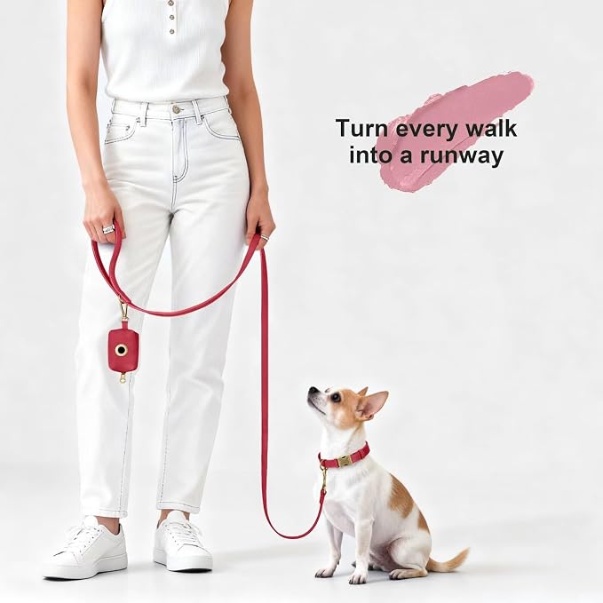 Didog Stylish PU Leather Dog Leash for Small Dogs, Easy to Clean 5ft Small Dog Leash with Metal Tangle-Free Clip, Fashionable and Elegant for Walking, Running and Training,Red, S