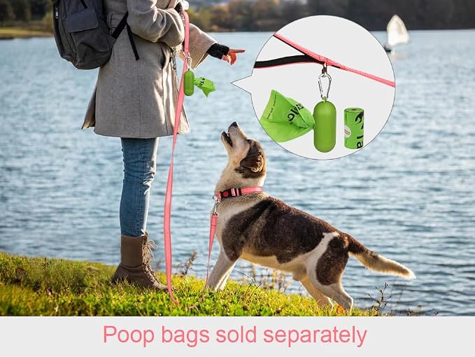 Taglory Dog Leash for Small Dogs, Double-Sided Reflective for Night Walking, Neoprene Padded Handle, 3/4 inch by 4 ft, Lightweight for Small Medium Breeds up to 30 lbs, Pink