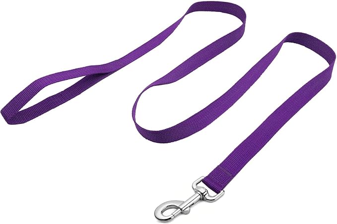 Strong Nylon Dog Leash, 4FT/ 5 FT/ 6FT Dog Leashes for Small Medium Dogs