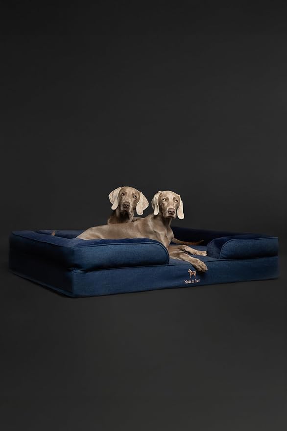 NOAH & PAW Giant Dog Bed XXL, 55x45x11 Inch, Orthopedic Dog Beds, Eggshell Memory Foam Infused with Cooling Gel, Inner Cover, Water Resistant, Machine Washable (Denim Sofa Collection)