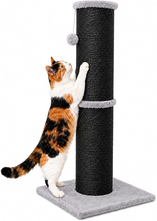 PAWSCRAT Cat Scratching Post 32 Inch High, 5.5 Inch Large Diameter Natural Sisal Cat Scratch Post, Scratch-Resistant and Durable Tall Cat Scratcher for Indoor Cats, Protect Your Furniture, Black