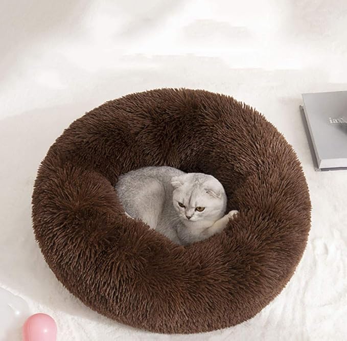 Modern Soft Plush Round Pet Bed for Cats or Small Dogs, Mini Medium Sized Dog Cat Bed Self Warming Autumn Winter Indoor Snooze Sleeping Cozy Kitty Teddy Kennel (24'' D x 8'' H, Chocolate)