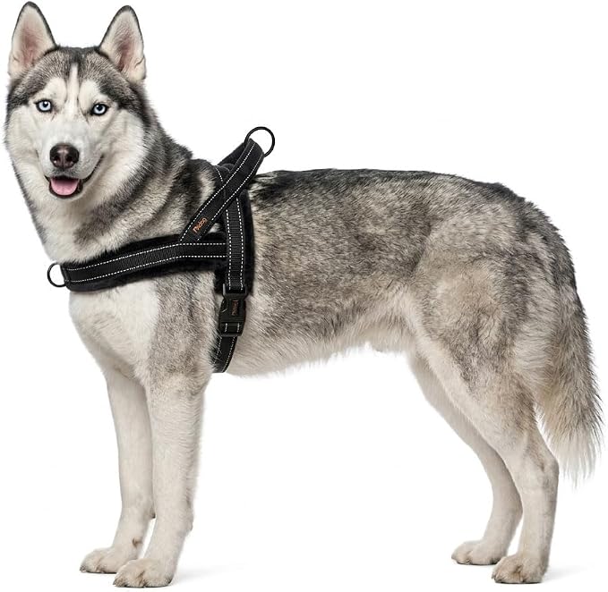 Didog Soft Flannel Padded Dog Vest Harness, No Pull/Quick Fit Reflective Dog Strap Harness, Easy for Training Walking (M:Chest 21-26", Black)