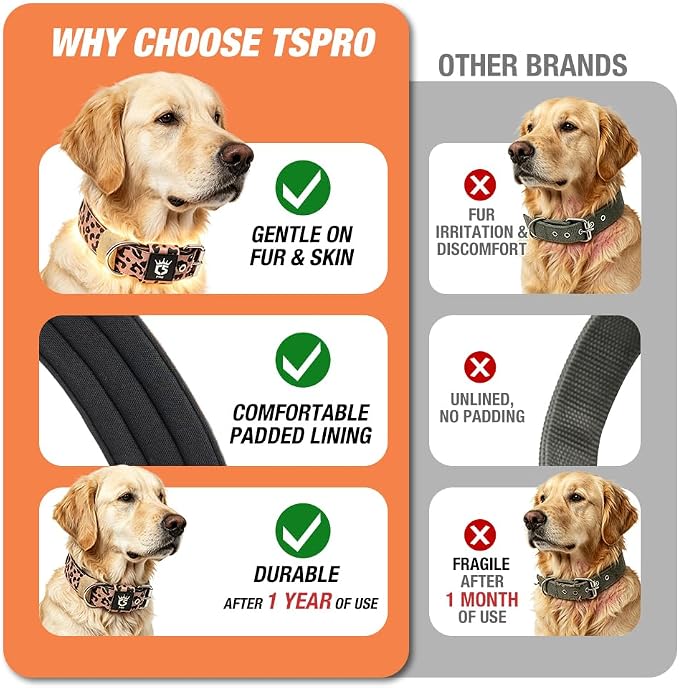 TSPRO Tactical Heavy Duty Dog Collar 1.5 Inch Wide & Thick, Durable Metal Buckle, Adjustable for Medium to Large Dogs, Strong & Comfortable for Daily Use (Dopamine Vibrant Print, L)