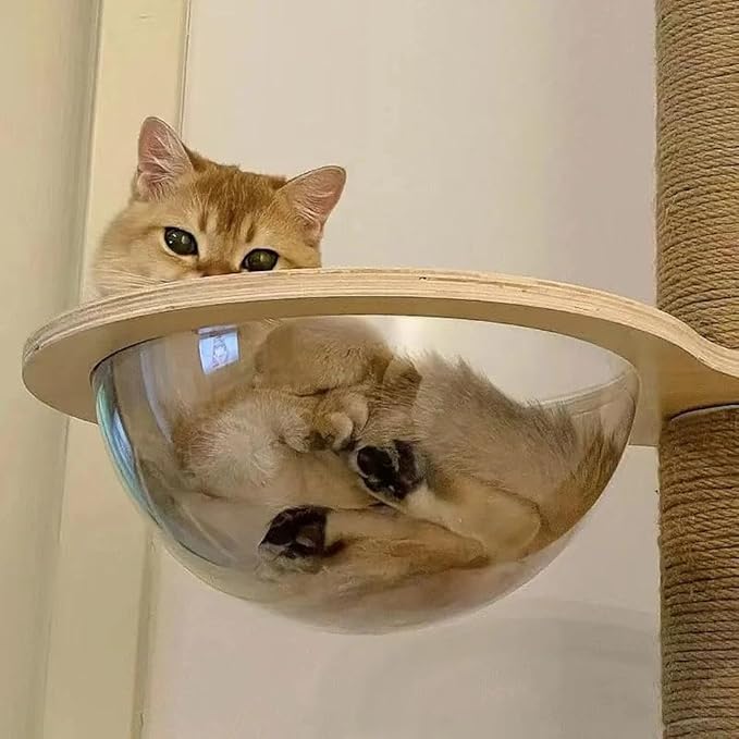 11.8" Acrylic Dome Clear Plastic Pet Cat Bubble Window Capsule Space Cover,