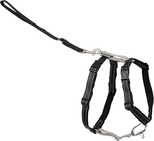 PetSafe 3 in 1 No-Pull Dog Harness for Small Dogs- Walk, Train or Travel - Helps Pets from Pulling on Walks - Seatbelt Loop Doubles as Quick Access Handle - Reflective - Small, Black