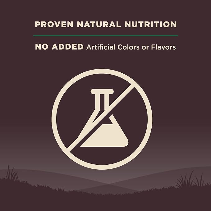 Wellness CORE Adult Dry Dog Food, Grain Free Kibble, Natural, High Protein, Lamb Recipe, 22 lb Bag