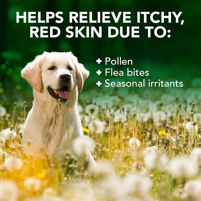 Vet's Best Allergy Itch Relief Dog Shampoo, Oatmeal Dog Shampoo for Itchy Skin, Cleans and Relieves Discomfort from Seasonal Allergies, Anti Itch Dog Soap, 16 Oz