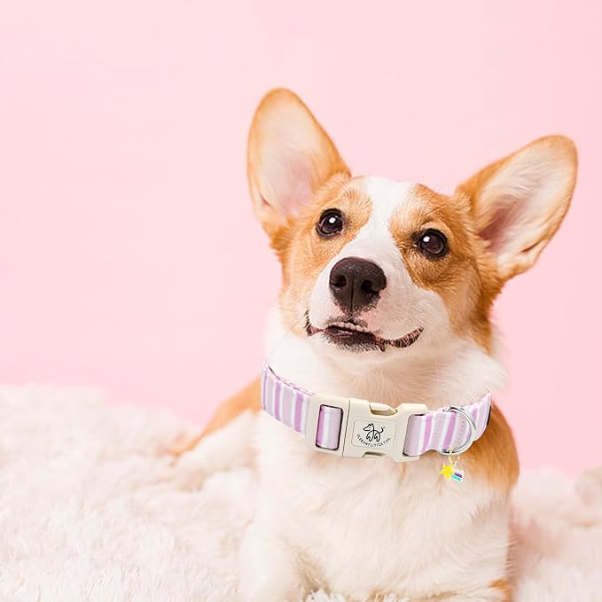 Elegant little tail Dog Collar, Cute Pink Strip Pattern Pet Collars Soft Girl or Boy Adjustable Cotton Puppy Collar with Quick Release Buckle for X-Small Puppy