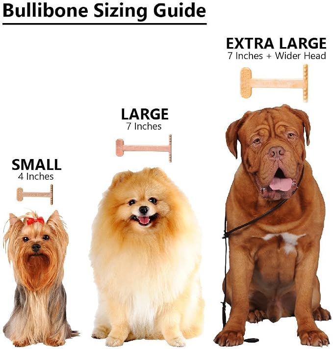 Bullibone Nylon Dog Chew Toy for Aggressive Chewers - Dental Hygiene Bone with Beef Flavor, Durable Tough Chew Toys for Small Dogs, Indestructible Dog Bone - Single