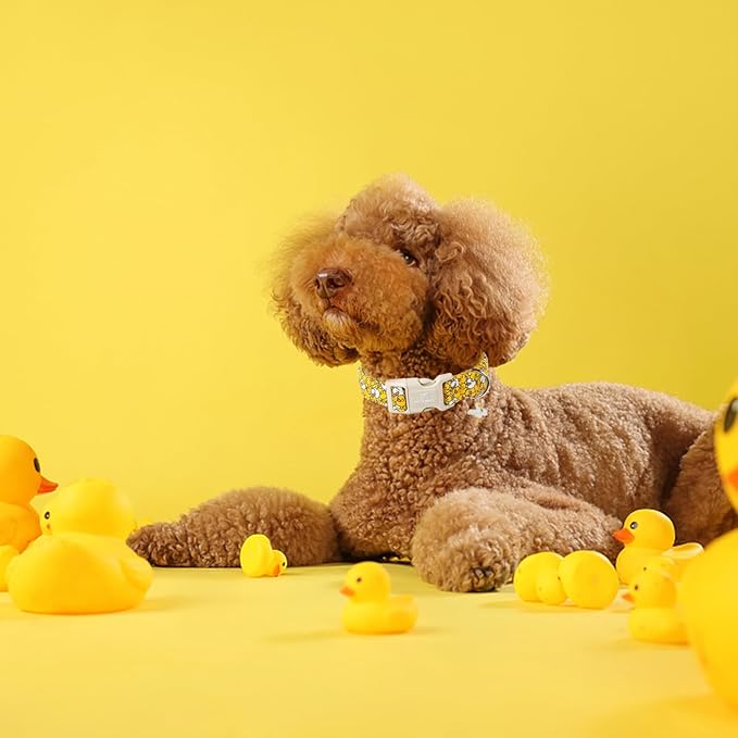 Maca Bates Summer Cute Dog Collar with Yellow Duck Print for Extra Large Boy Gril Dogs,Spring and Summer Styles Durable,Soft,Thick,Adjustable Puppy Basic Collars for Male Female Pet with Safety Buckle