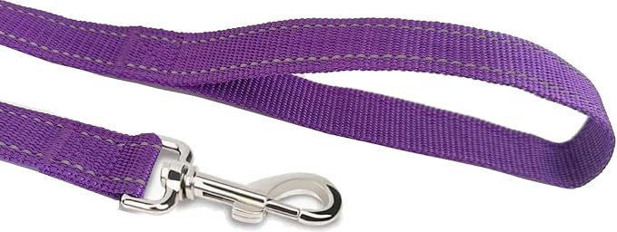 Reflective Dog Leash 4Ft /5 Foot /6 Feet Long, 1 Inch Wide, for Small and Medium Dogs