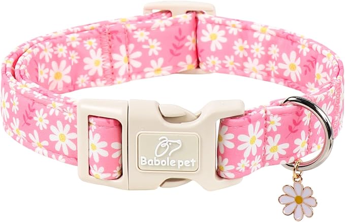 Daisy Dog Collar Pink Girl Dog Collars for Medium Dogs - Lightweight Adjustable Spring/Summer Floral Female Dogs Everyday Collar with Safety Buckle M
