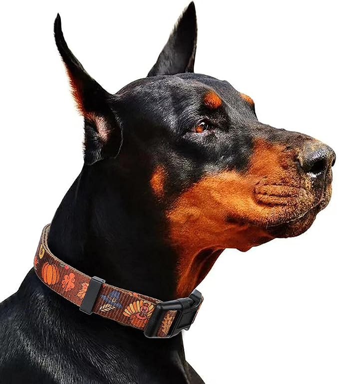 Fall Halloween Thanksgiving Dog Collars Large Size