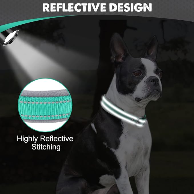 Joytale Dog Collar for Medium Dogs, Neoprene Padded and Adjustable, Reflective Wide Heavy Duty Pet Collars with Durable Metal Belt Buckle for Walking, Teal, M