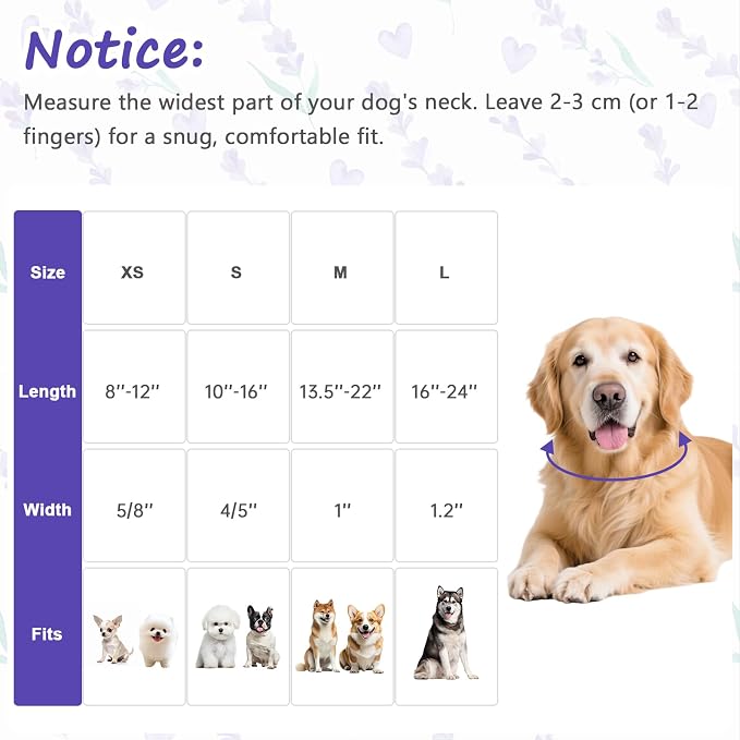 Dog Collar for Extra Small Dogs, Spring Purple Dog Collars with Flowers Pattern, Adjustable Cotton Dog Collars, Cute Girl or Boy Dog Collar Ideal for Gifts,Pet Accessory