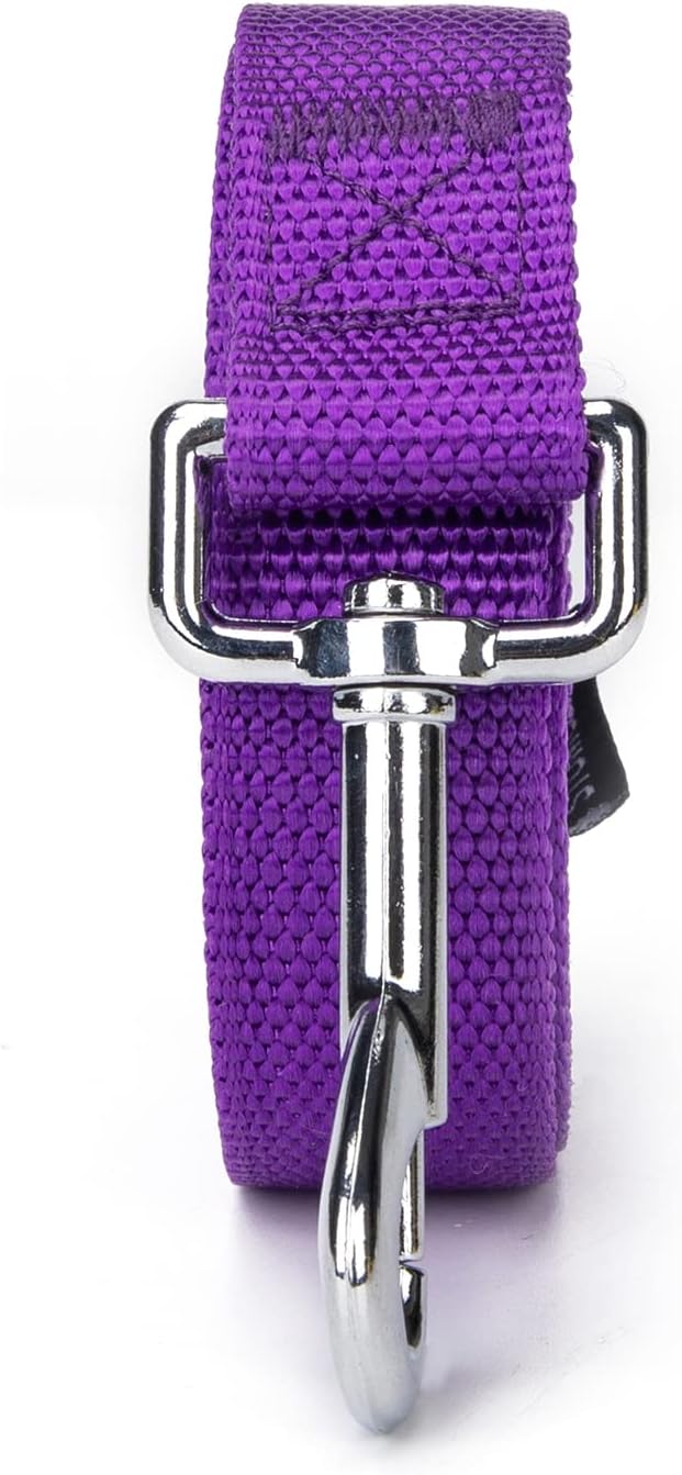 Strong Durable Nylon Dog Training Leash, 1 Inch Wide Traction Rope, 6 ft Long, for Small and Medium Dog (Purple, 6 Feet)